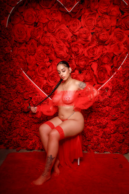 Sheer Romance Lingerie Set