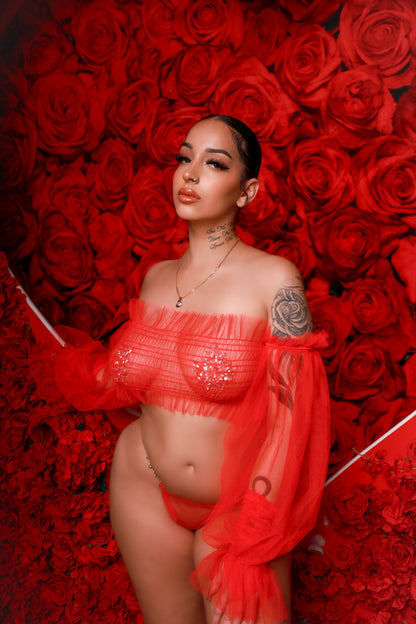 Sheer Romance Lingerie Set