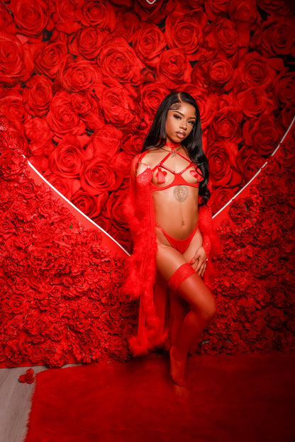 Love Bite Lingerie Set