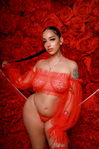 Sheer Romance Lingerie Set