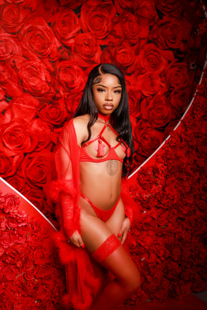 Love Bite Lingerie Set