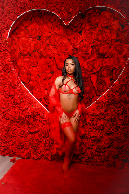 Love Bite Lingerie Set
