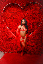 Load image into Gallery viewer, Love bite lingerie set
