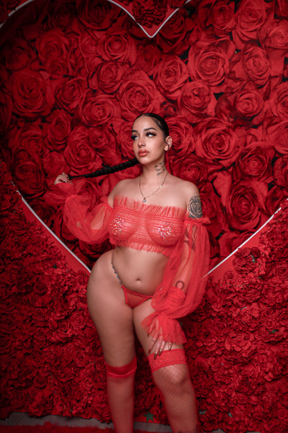 Sheer Romance Lingerie Set