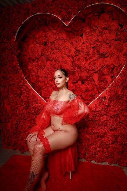 Sheer Romance Lingerie Set