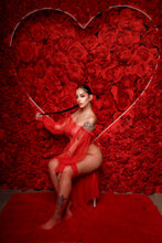 Load image into Gallery viewer, Sheer romance lingerie set
