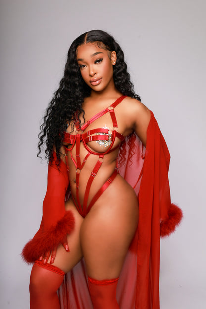 Red Not so Shy Teddy