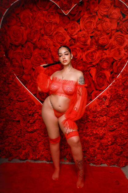Sheer Romance Lingerie Set