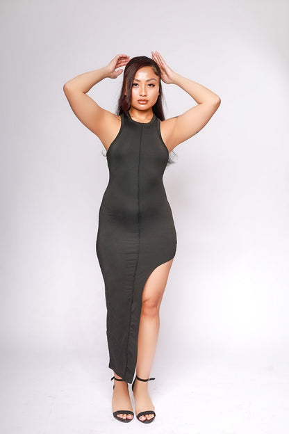 High Standards Bodycon Dress