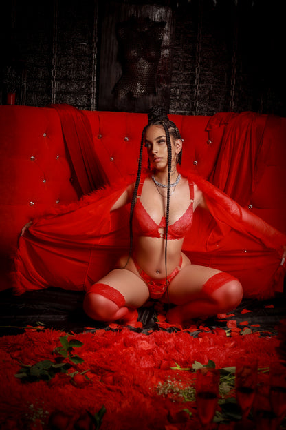 Feelin Love Sick Lingerie Set