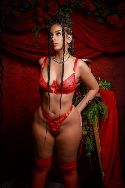 Feelin Love Sick Lingerie Set