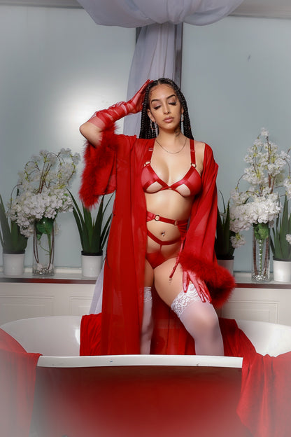 Sheer Perfection Red Lingerie Set
