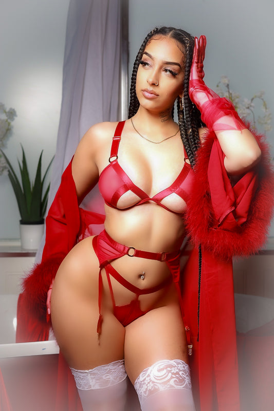 Sheer Perfection Red Lingerie Set