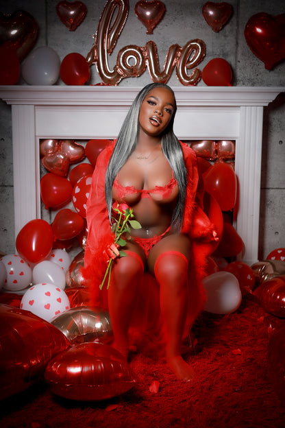 Red Sexy Secret Lingerie Set